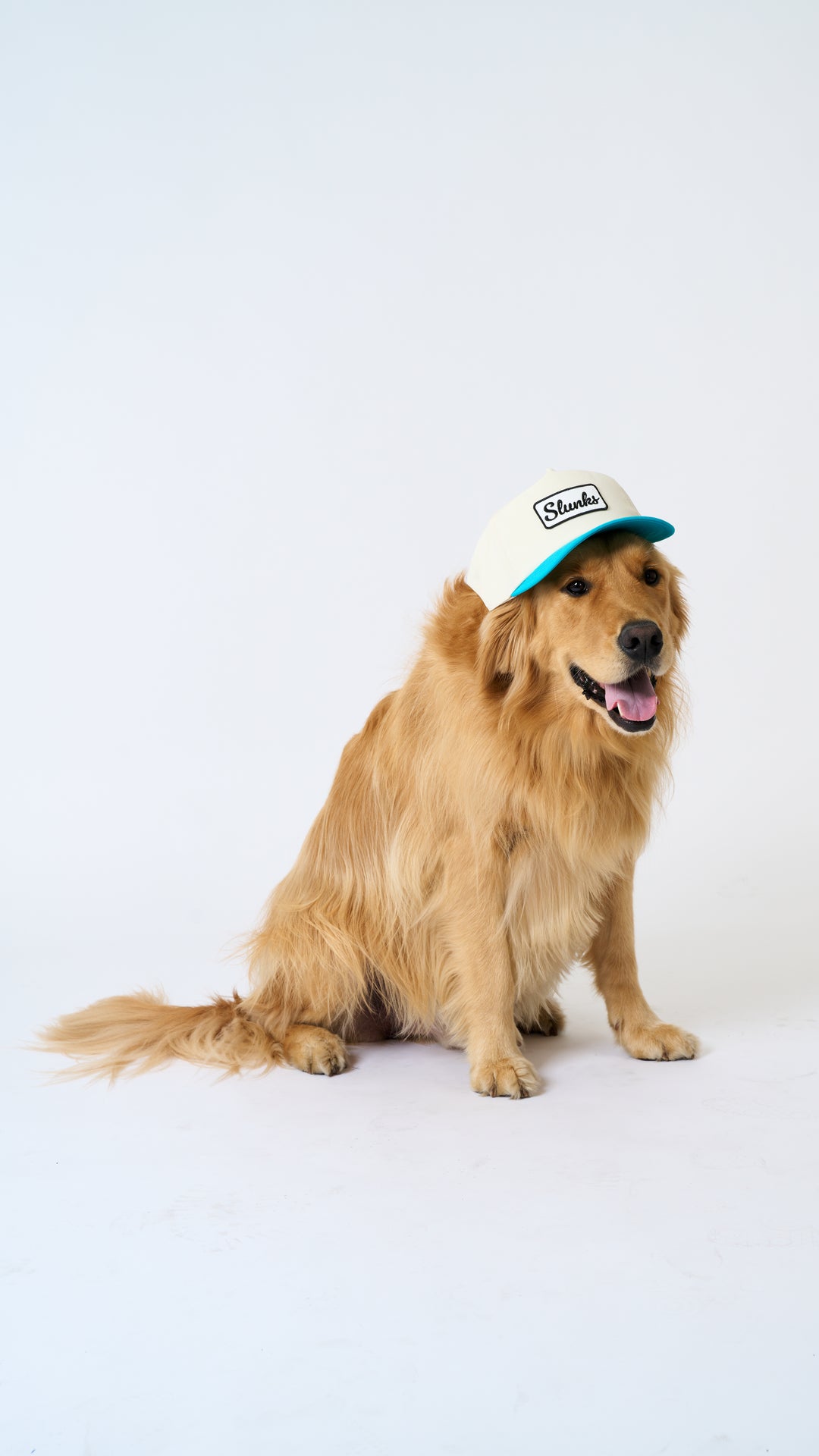 Paint it Black Patch Cap